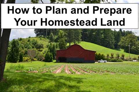 How to Plan and Prepare Your Homestead Land