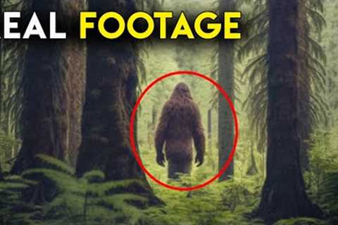 DISTURBING Trail Cam Footage No One Expected