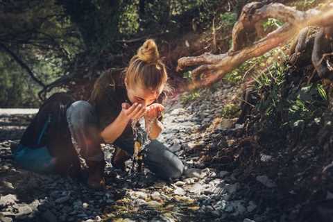 Bushcraft Basics - How to Make Fire, Create a Shelter and Track Animals