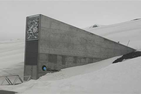 Seed Vault: Preserving Biodiversity Against All Odds