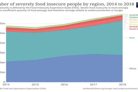 Don’t Risk Hunger: Order Your 6 Month Supply of Food Now