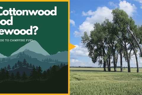 Is Cottonwood Good Firewood?