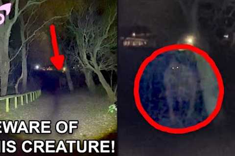 Creepy Videos That Will Grow Your Fear