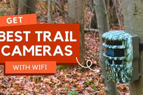 Unlock the Best Trail Camera With WiFi: Our Top Picks Revealed!