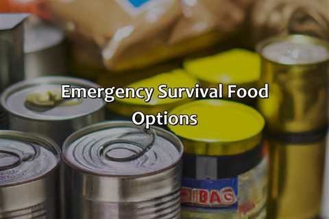 Emergency Survival Food Options