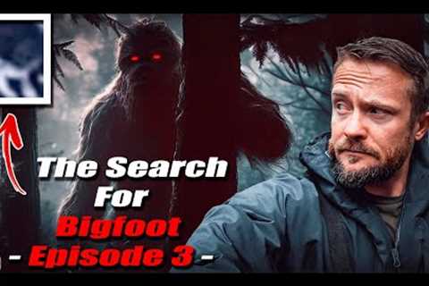 Trail Cams - Searching for Evidence in a Thunderstorm - Search For Bigfoot Part 3