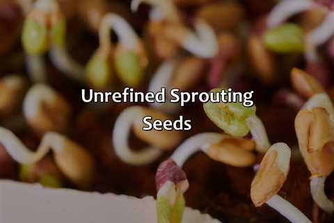 Unrefined Sprouting Seeds