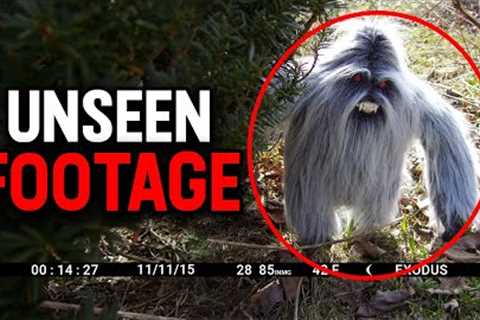 INCREDIBLE Trail Cam Discoveries That Stunned Everyone