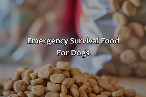 Emergency Survival Food For Dogs