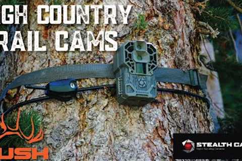 SETTING TRAIL CAMERAS IN THE HIGH COUNTRY!