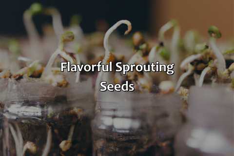 Flavorful Sprouting Seeds