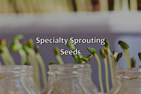 Specialty Sprouting Seeds