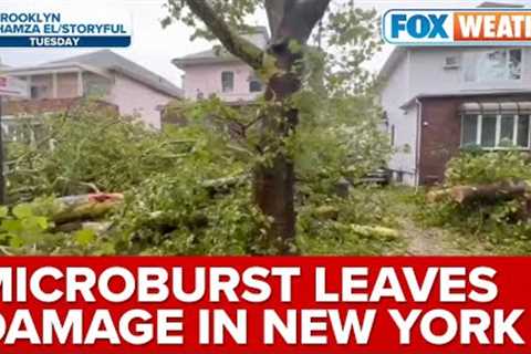 Microburst Leads To 70 mph Wind Gusts, Tree Damage In Brooklyn, New York