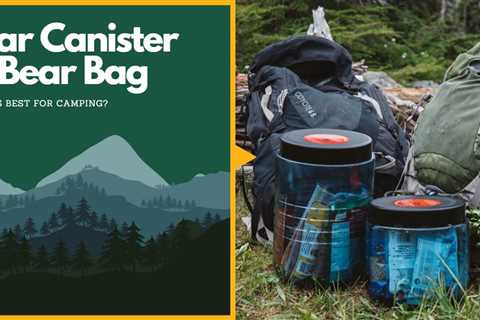 Bear Canister vs Bear Bag: Which is Best for Camping?