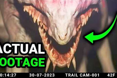 Mega Compilation of Disturbing Creatures Caught On Trail Cam.