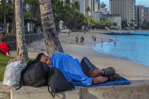 What is the Average Monthly Income of a Homeless Person in Honolulu?