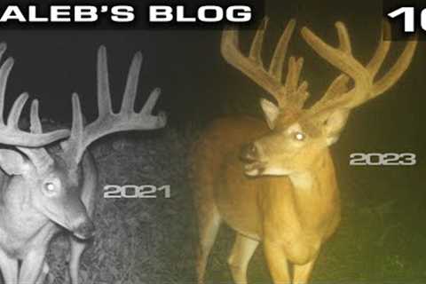 MY DREAM DEER, Trail Camera Strategy For Lucky | Kaleb''s Blog