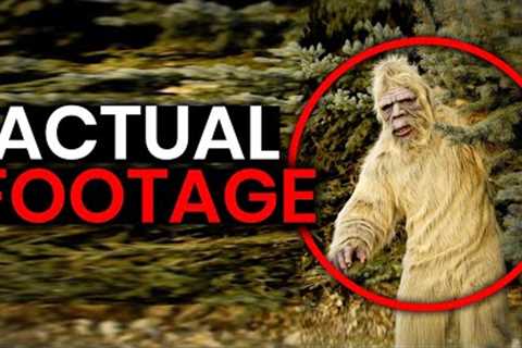 Most Creepy Creatures Ever Caught on Trailcam Footage | Trail Cams