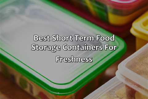 Best Short Term Food Storage Containers For Freshness