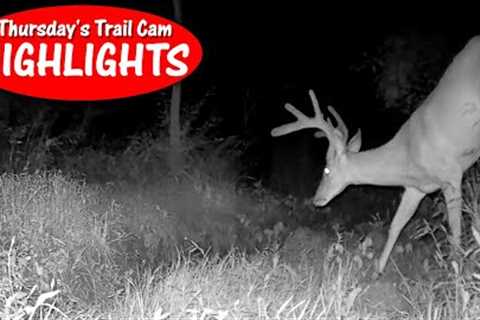 The Neglected Camera at Dry Creek Crossing Scores BIG: Thursday''s Trail Cam Highlights 8.31.23