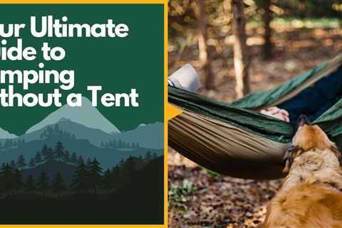 Your Ultimate Guide to Camping Without a Tent