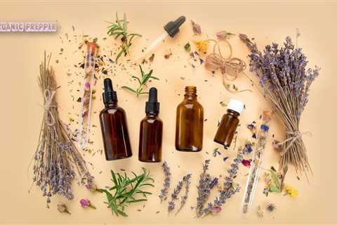 Essential Oils: Here Are Some RELIABLE Resources