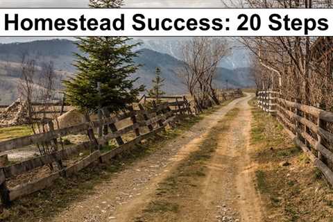 Homestead Success: 20 Steps for Summer and Fall