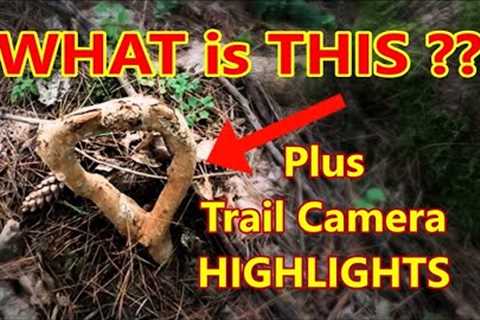 Trail Camera Highlights Plus A Mystery. Check It Out!