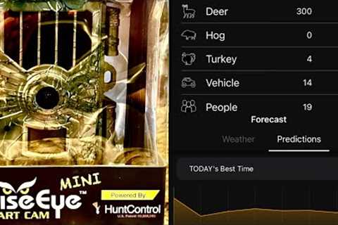 WISE EYE MINI CELL CAM...THE BEST TRAIL CAMERA???