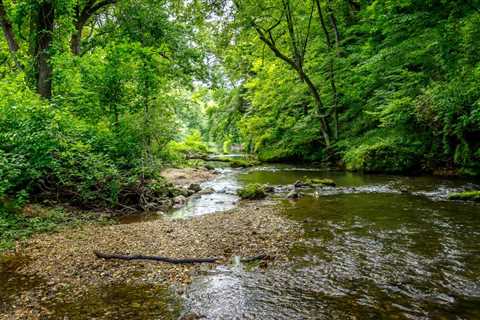 Homesteading in Iowa: What You Need to Know