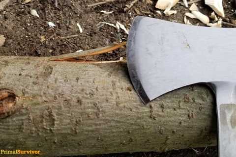 Best Survival Axe 2023: 8 Reliable Hatchets Reviewed