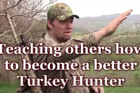 The Most Important Phases Of Wild Turkey Hunting