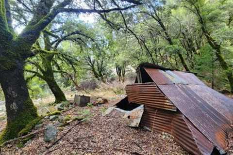 Abandoned Gold Mine Overloaded With Quartz & Crystals