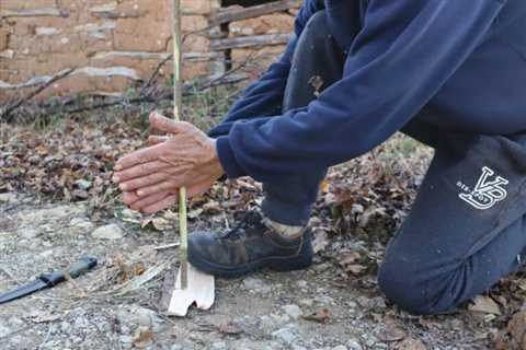 Making a Fire with the Hand Drill Method