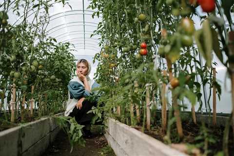 Grow Your Resilience: Home Gardening During Food Crises