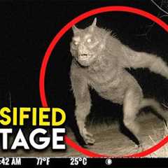 NO ONE Knows What THIS Trail Cam Captured | Compilation