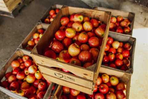 What Are Your Options for Storm-Proof Fruit Storage?