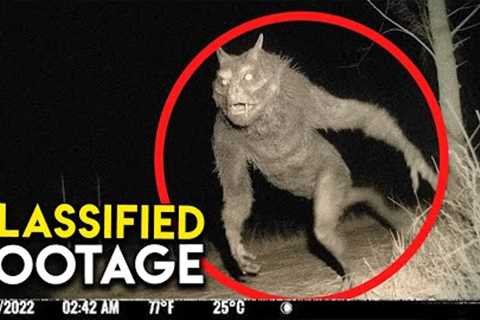 NO ONE Knows What THIS Trail Cam Captured | Compilation