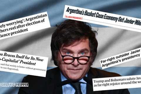 Argentina Just Elected a Libertarian President & the MSM Hates Javier Milei