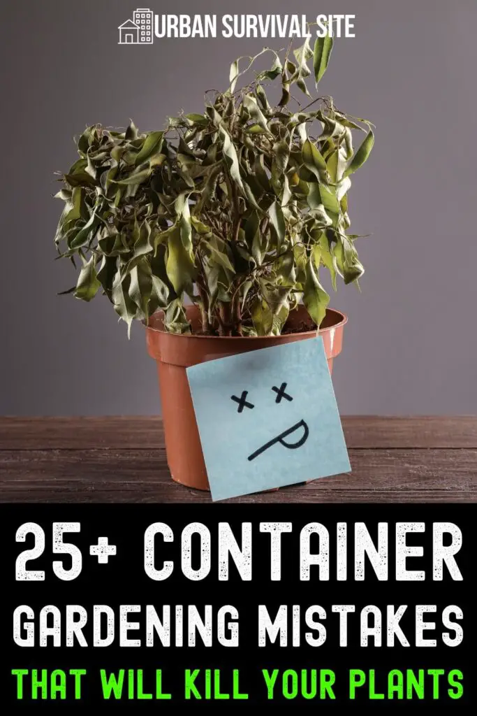 25+ Container Gardening Mistakes That Will Kill Your Plants