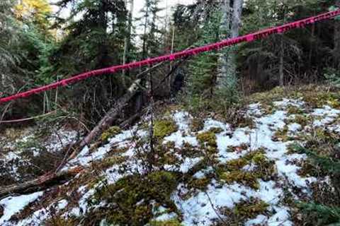 Mountain Beast Returns To Shelter Site Weeks Later After Authorities Investigate Human Remains