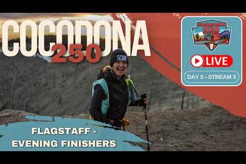 2024 Cocodona 250 LIVE - Day 5 | Stream 3 - Flagstaff - overnight Finishers