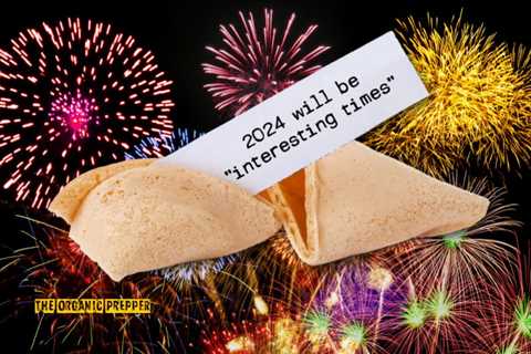 Weekend Fun: Preppers Predict 2024