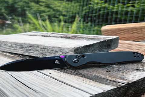 Review: Kizer Drop Bear