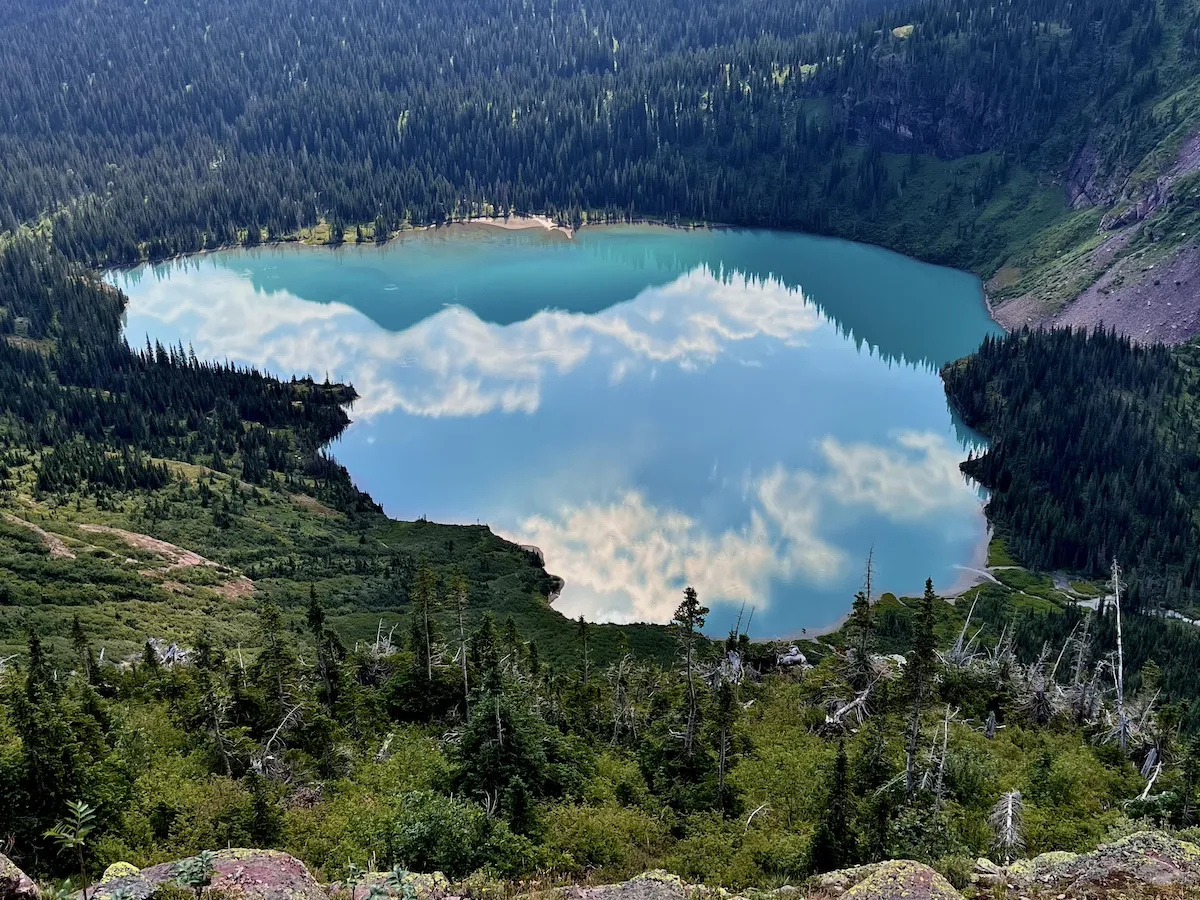 Can You Spot the Moose Chillin’ at Glacier National Park?